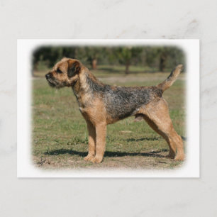 Carte Postale Bordure Terrier 9Y325D-033