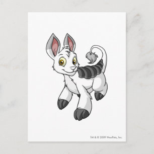 Carte Postale Bori White