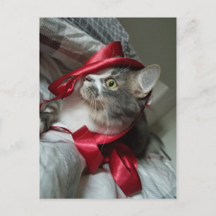 Carte postale Boris the Cute Nubber Kitty
