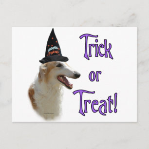 Carte Postale Borzoi Trick