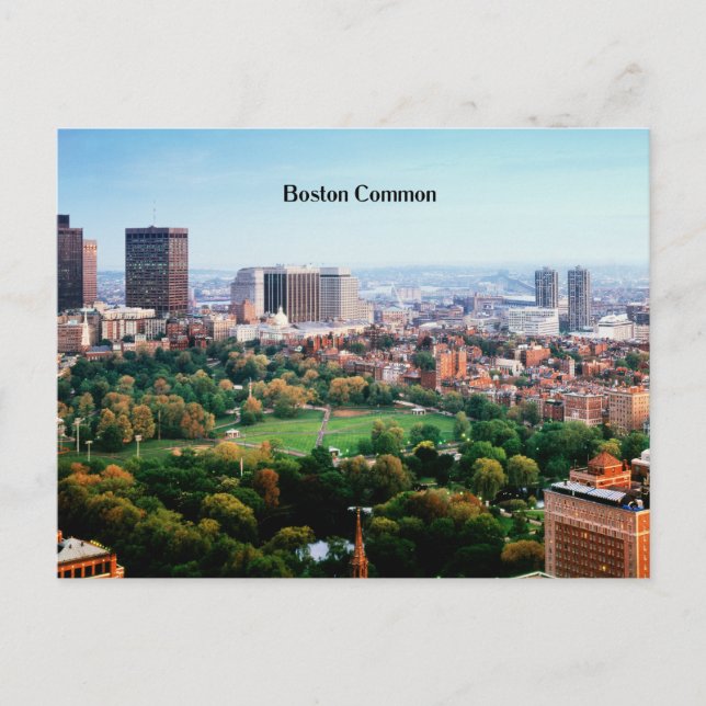 Carte Postale Boston Common, parc public, (Devant)
