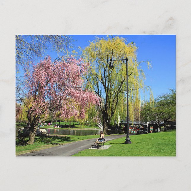Carte Postale Boston, Massachusetts - Boston Gardens Post Card (Devant)