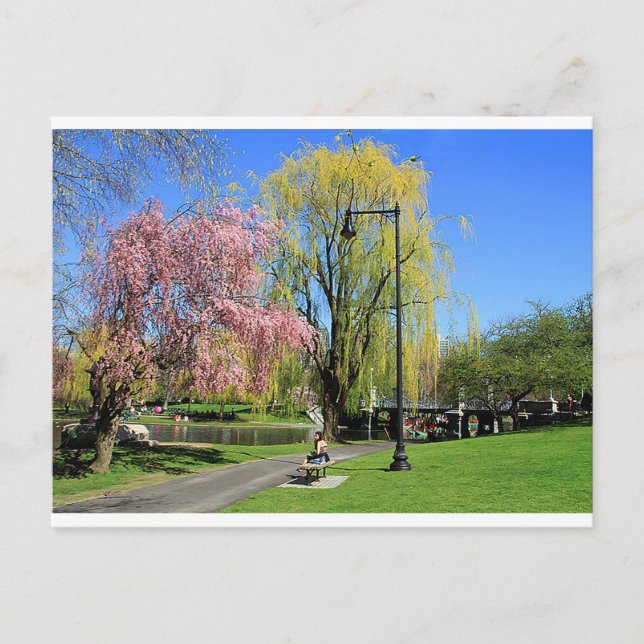 Carte Postale Boston, Massachusetts - Boston Gardens Post Card (Devant)
