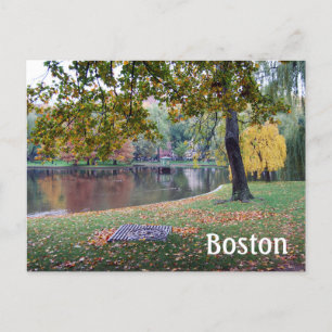 Carte Postale Boston Public Gardens