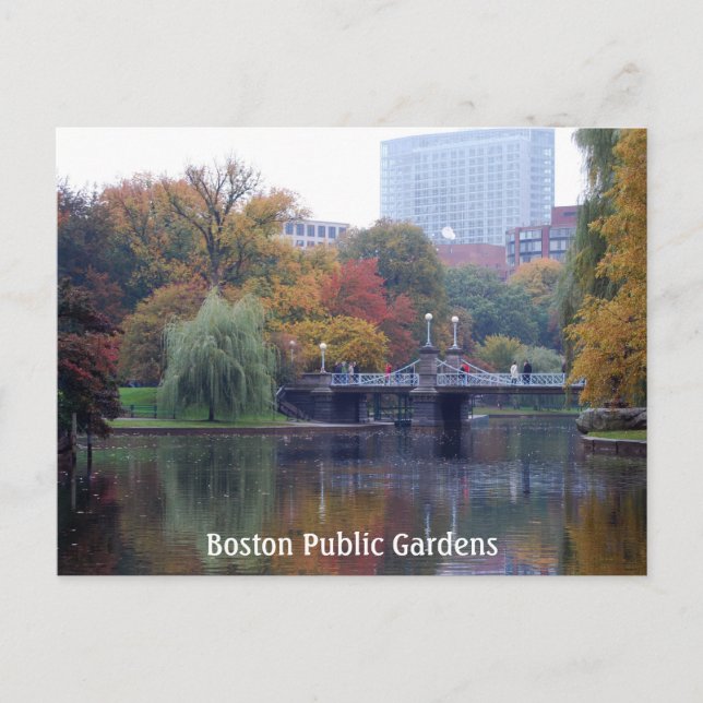 Carte Postale Boston Public Gardens (Devant)