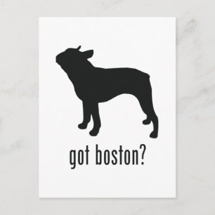 Carte Postale Boston Terrier