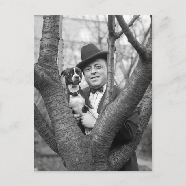 Carte Postale Boston Terrier, années 1920 (Devant)