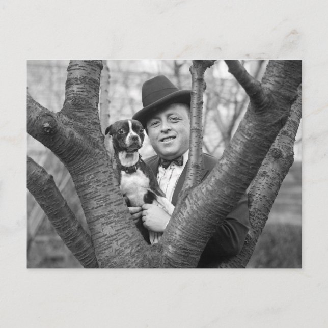 Carte Postale Boston Terrier, années 1920 (Devant)