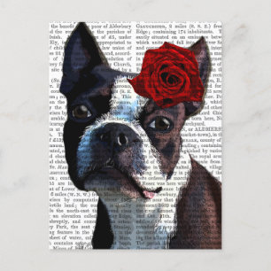 Carte Postale Boston Terrier avec Rose sur Head