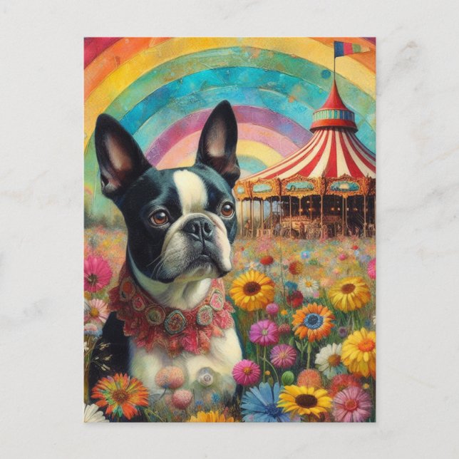 Carte Postale Boston Terrier Circus (Devant)
