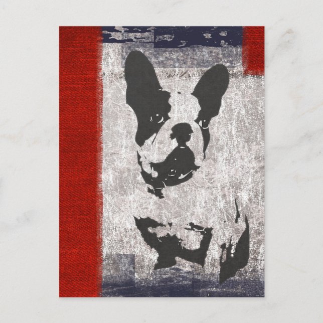 Carte Postale Boston Terrier en noir et blanc avec frontière rou (Devant)