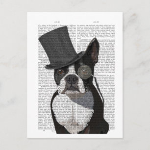 Carte Postale Boston Terrier, Formal Hound et Casquette