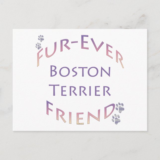 Carte Postale Boston Terrier Furever (Devant)