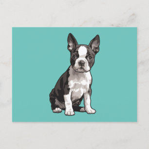Carte postale Boston Terrier Puppy Chien