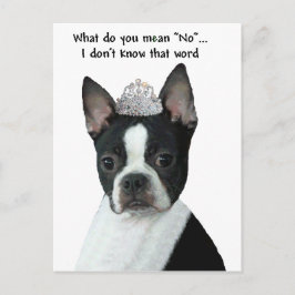 Carte Postale Boston Terrier : Qu'Est-Ce Que Tu Veux Dire "Non" 