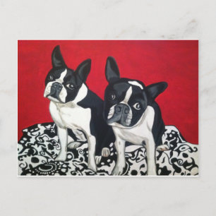 Carte Postale Boston Terriers