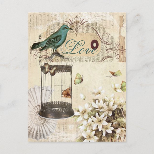 Carte Postale botanical art birdcage modern vintage frenbird bir (Devant)