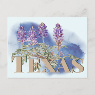 Carte Postale Botanique Texas Bluebonnet 2