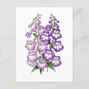 Carte postale botanique Vintage Penstemon