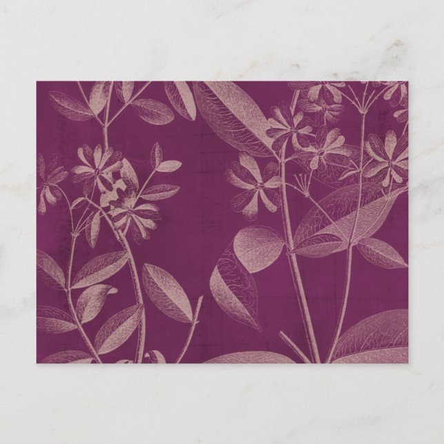 Carte Postale Botnie III (Devant)