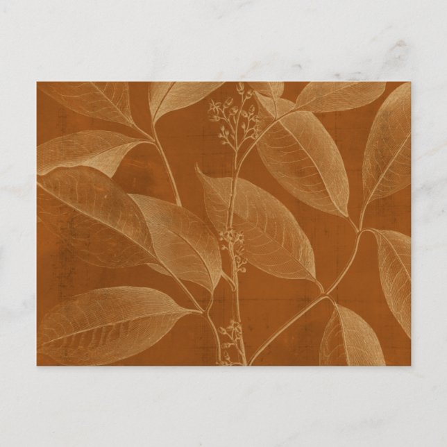 Carte Postale Botnie VI moderne (Devant)