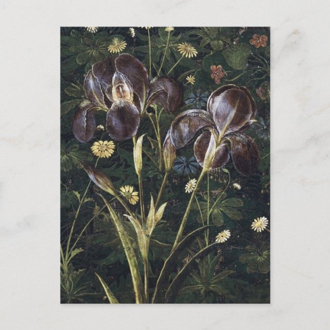 Carte Postale Botticelli Irises (Devant)
