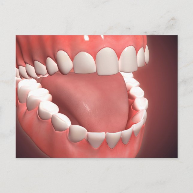 Carte Postale Bouche Humaine Ouverte, Montrant Dents, Gums Et La (Devant)