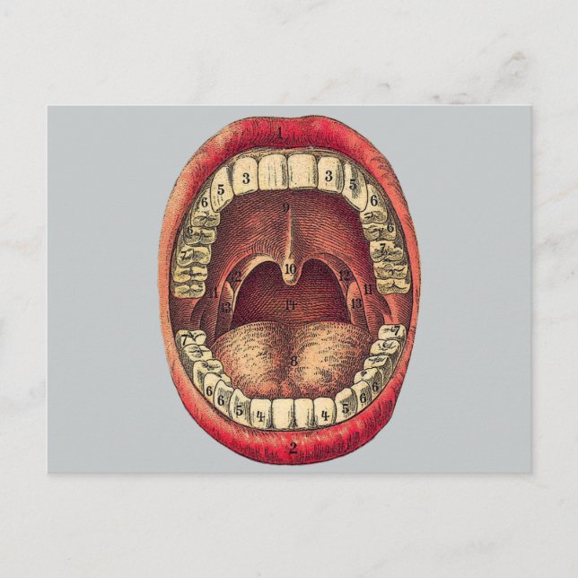 Carte Postale Bouche vintage (Devant)