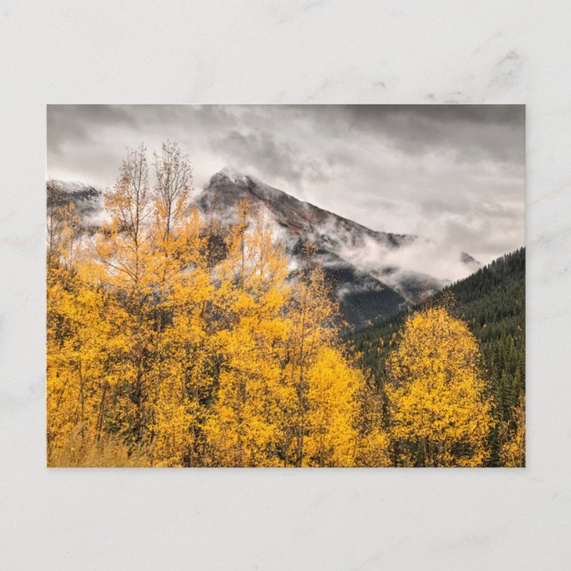 Carte Postale Boucle alpine | Silverton, Colorado (Devant)