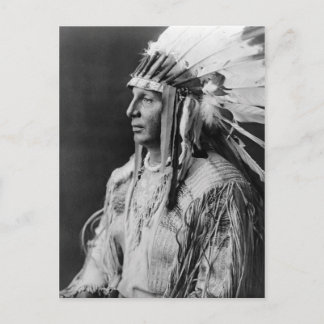 Carte Postale Bouclier blanc