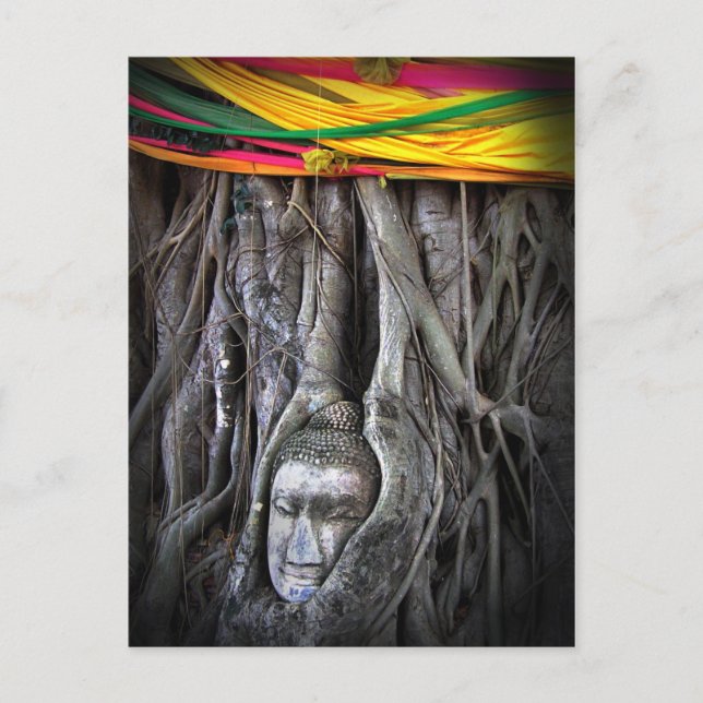 Carte Postale Bouddha Et Le Bouddhisme Arbre Thaïlande Photograp (Devant)