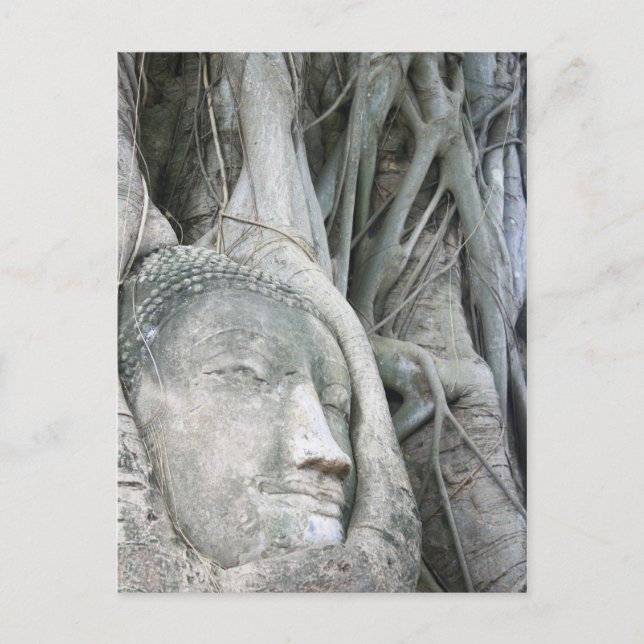 Carte postale Bouddha Head (Devant)