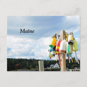 Carte Postale bouées de homard dans le Maine