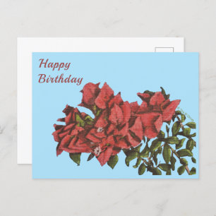 Carte postale Bougainvillea