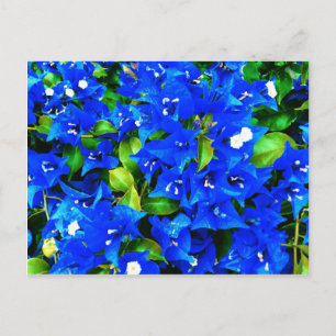 Carte Postale Bougainvilliers bleus vifs Fleurs