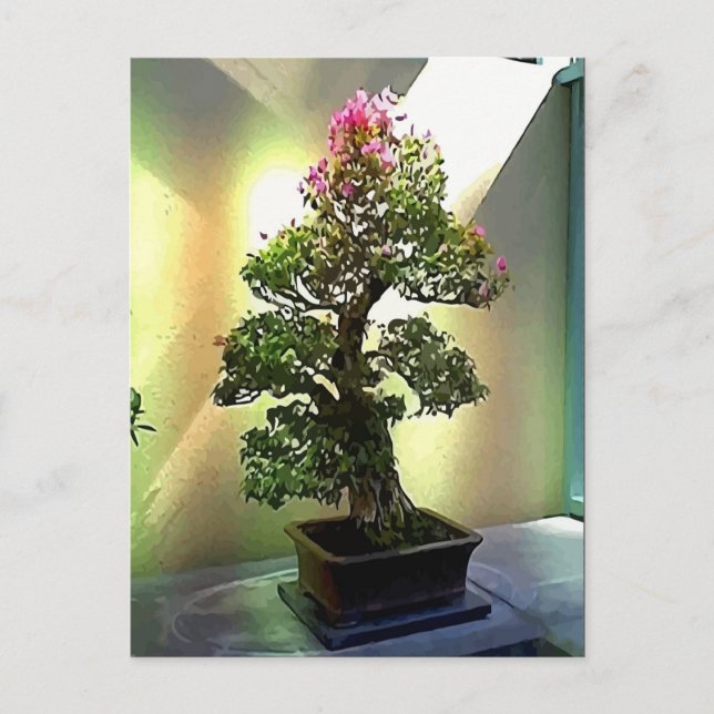 Carte Postale Bougainvilliers Bonsai Tree (Devant)
