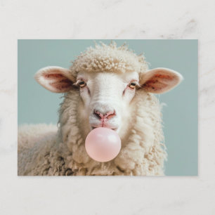 Carte Postale Boule blanche de mouton laineux soufflant rose bul