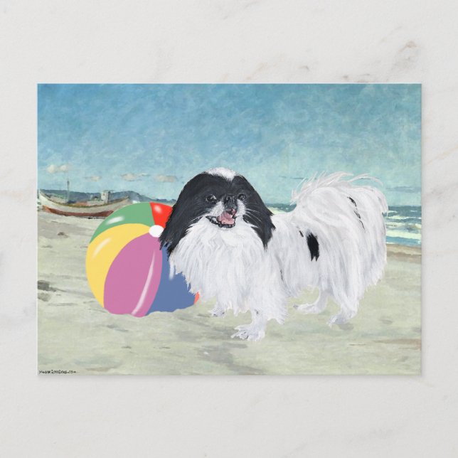 Carte Postale Boule de plage japonaise Chin (Devant)