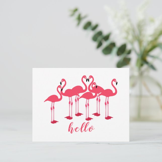 Carte Postale Boule Rose De Flamants roses "Bonjour" (Debout devant)