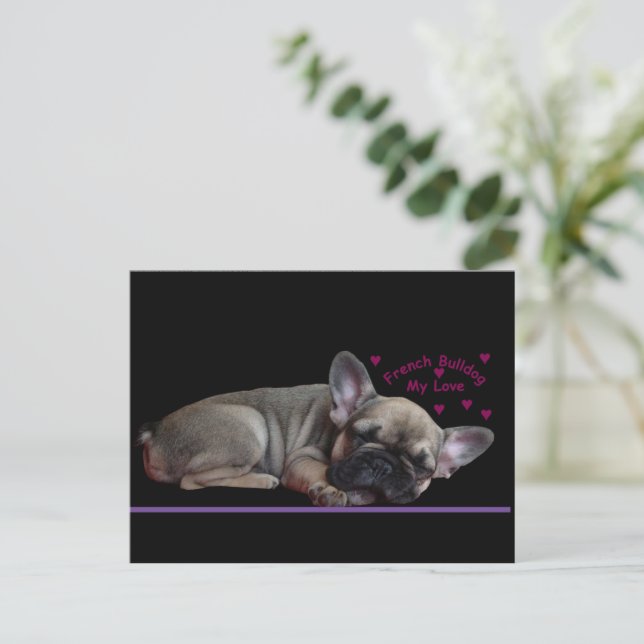 Carte Postale Bouledogue français (Debout devant)