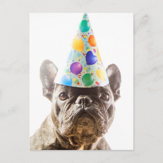Carte Postale Bouledogue français avec chapeau de fête (Devant)
