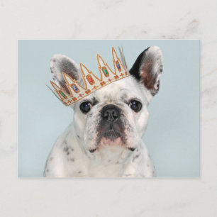 Carte Postale Bouledogue français avec couronne