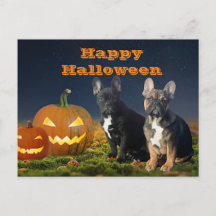 Carte Postale Bouledogue français citrouille Bouledogue Français