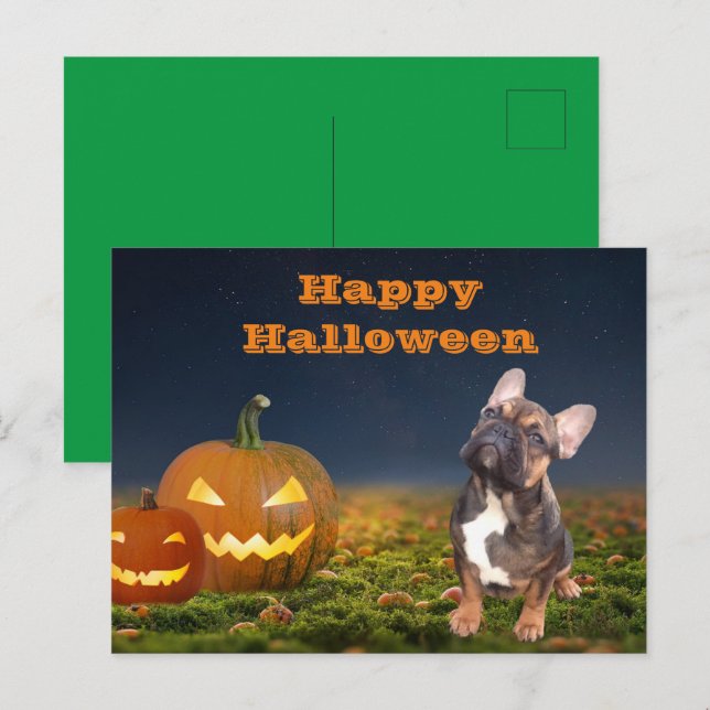 Carte Postale Bouledogue français citrouille French Bulldog (Devant / Derrière)