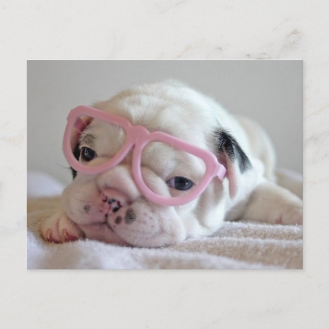 Carte Postale Bouledogue français en verres de coeur (Devant)