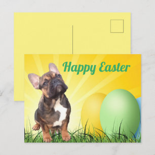 Carte Postale Bouledogue français Pâques French Bulldog
