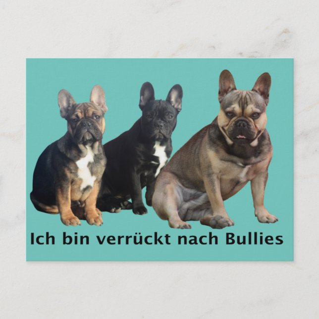 Carte Postale Bouledogue français trois amis French Bulldog (Devant)