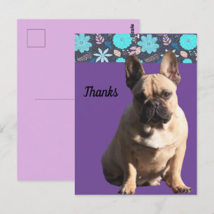Carte Postale Bouledogues français Merci French Bulldog