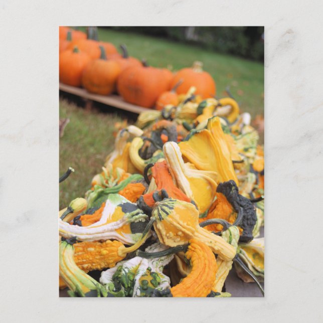 Carte Postale Bounty of fall (Devant)