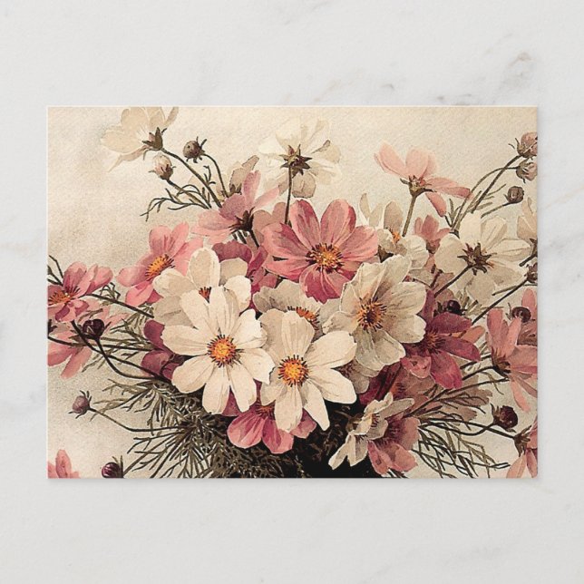 Carte Postale Bouquet Cosmos vintage (Devant)